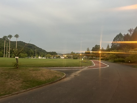 S__17227783_0.jpg