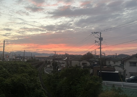 S__17227784_0.jpg