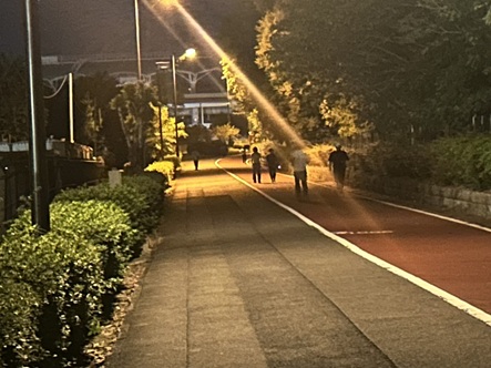 S__17309704_0.jpg