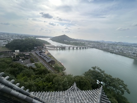 S__17711110_0.jpg