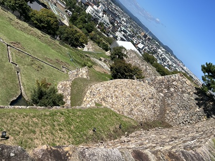 S__17940529_0.jpg