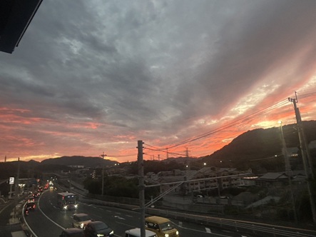 S__17973306_0.jpg