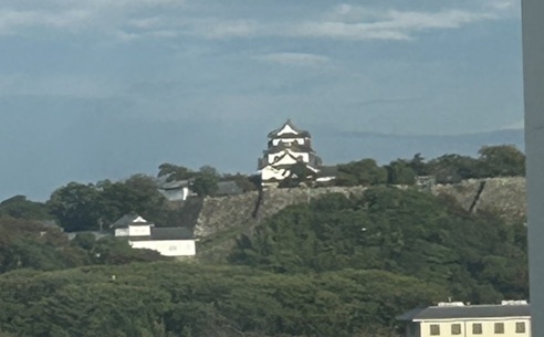 S__18104349_0.jpg