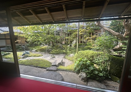 S__18104389_0.jpg