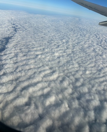 S__18227214_0.jpg