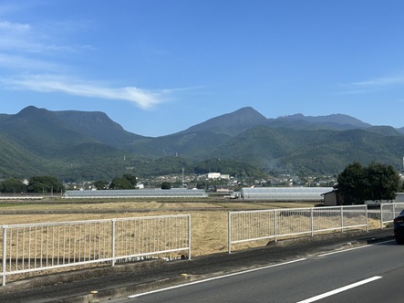 S__18382892_0.jpg