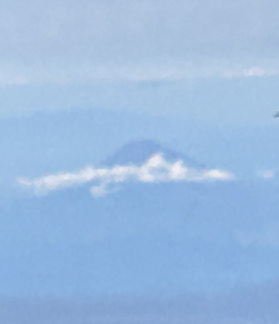 S__18440216_0.jpg