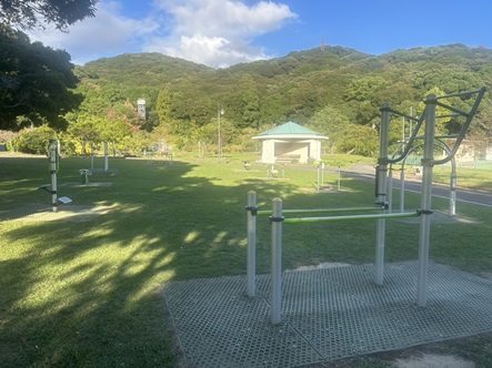 S__18571297_0.jpg