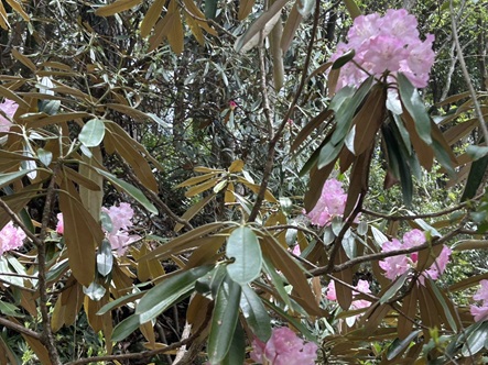 S__5603458_0.jpg