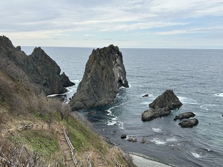 S__5668931_0.jpg
