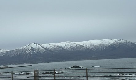 S__5668943_0.jpg