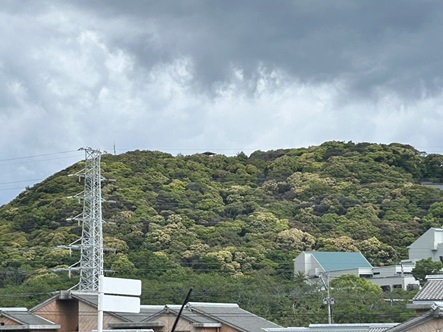 S__5677133_0.jpg