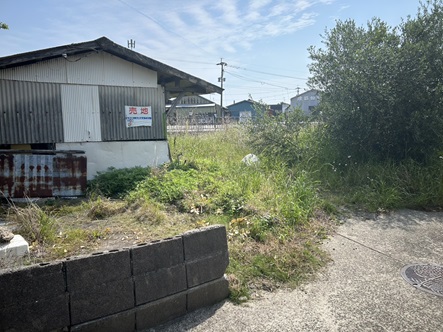 S__5890096_0.jpg