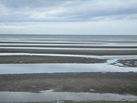 S__5955595_0.jpg
