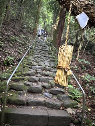 S__5955604_0.jpg