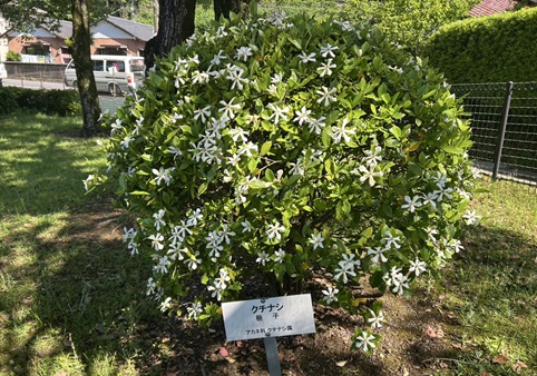S__6103076_0.jpg