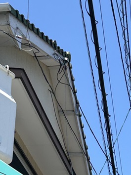 S__6103115_0.jpg