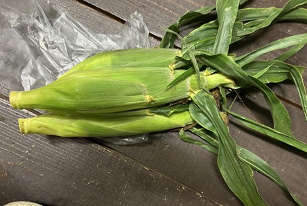 S__6168596.jpg