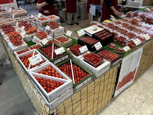 S__6504500_0.jpg