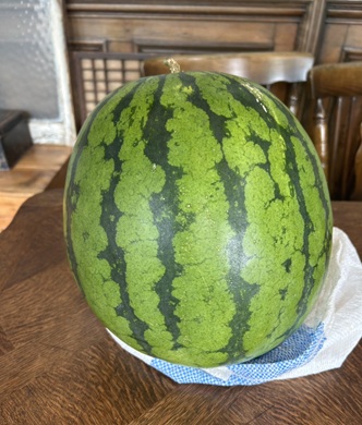 S__6684715.jpg