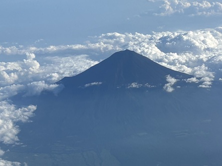 S__6766596_0.jpg