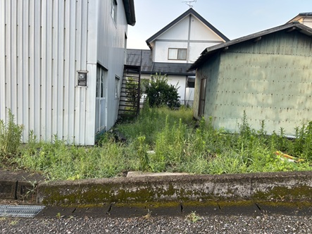 S__6774805_0.jpg