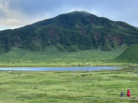 S__6832172_0.jpg