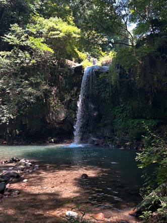 S__7045125.jpg