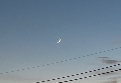 S__7381008_0.jpg