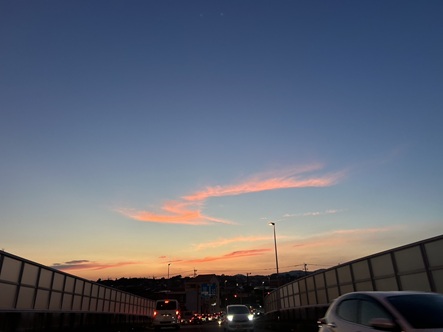 S__7405598_0.jpg