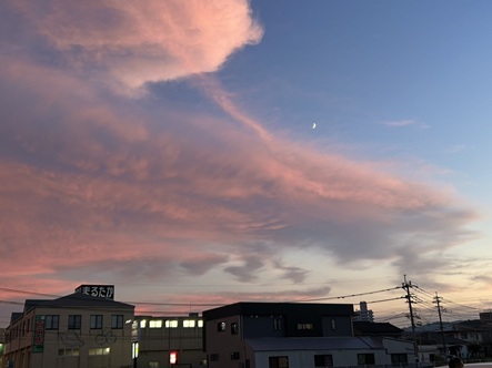 S__7405602_0.jpg