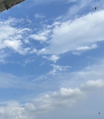S__7405607_0.jpg