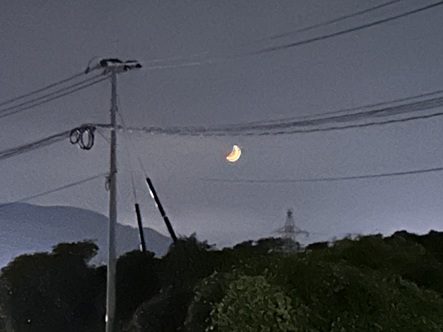 S__7421970_0.jpg