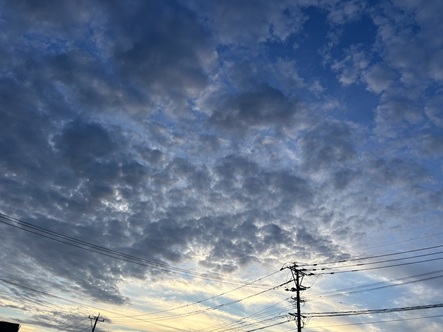 S__7667756_0.jpg