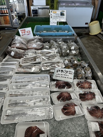 S__7675915_0.jpg