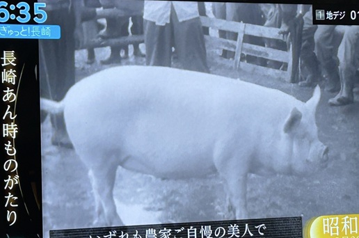S__7708717_0.jpg