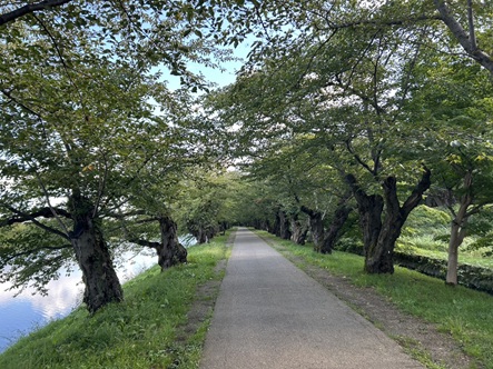 S__7741529_0.jpg