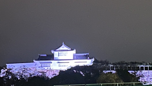 S__7979036_0.jpg