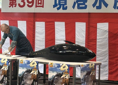 S__7979057_0.jpg