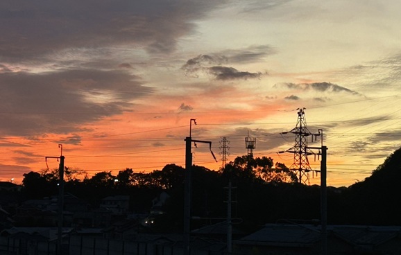 S__8052796_0.jpg